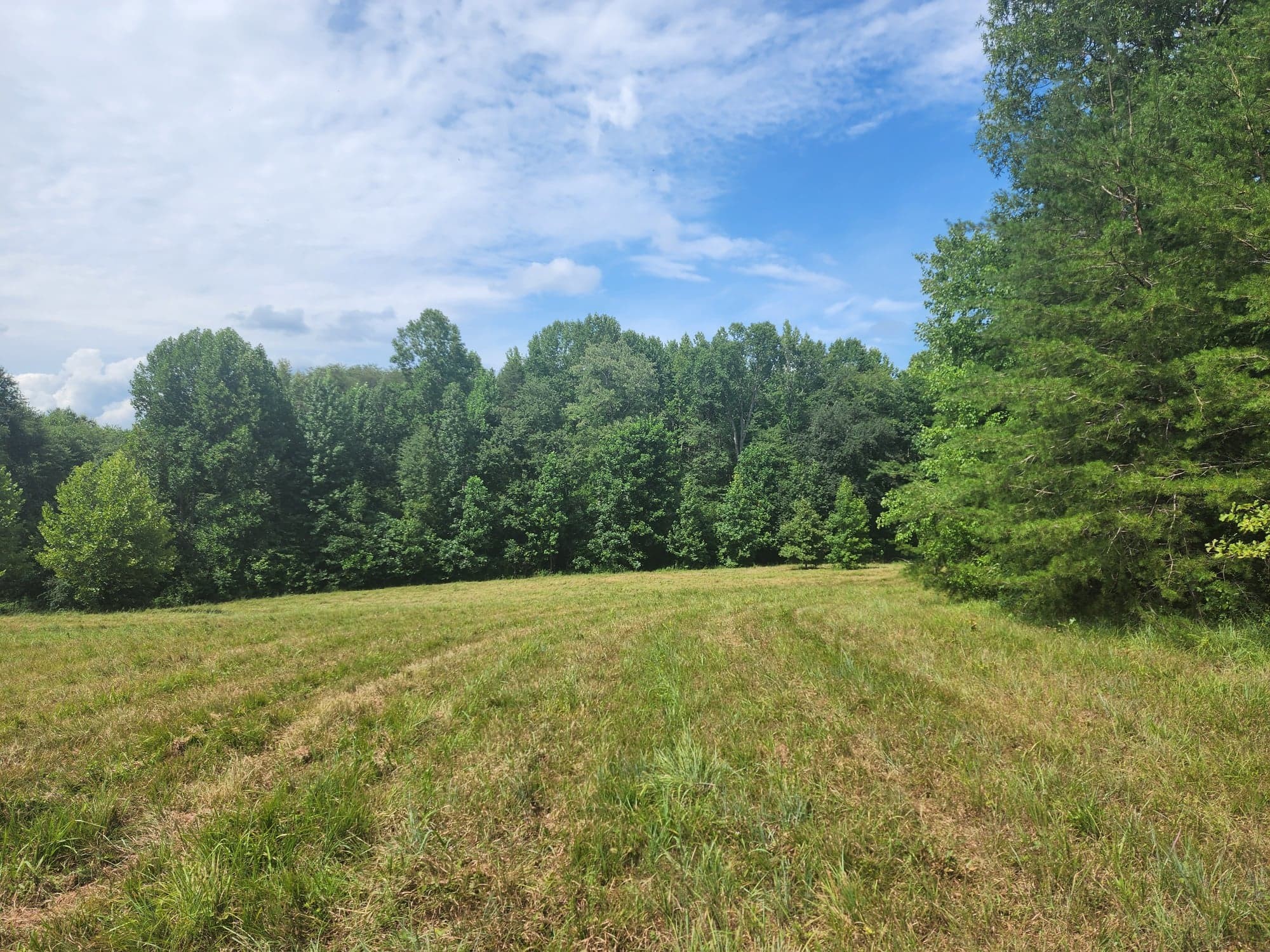 12 A Old Kentucky Road Walling, TN 38587 - Photo 8 of 35 Gallery Image 8