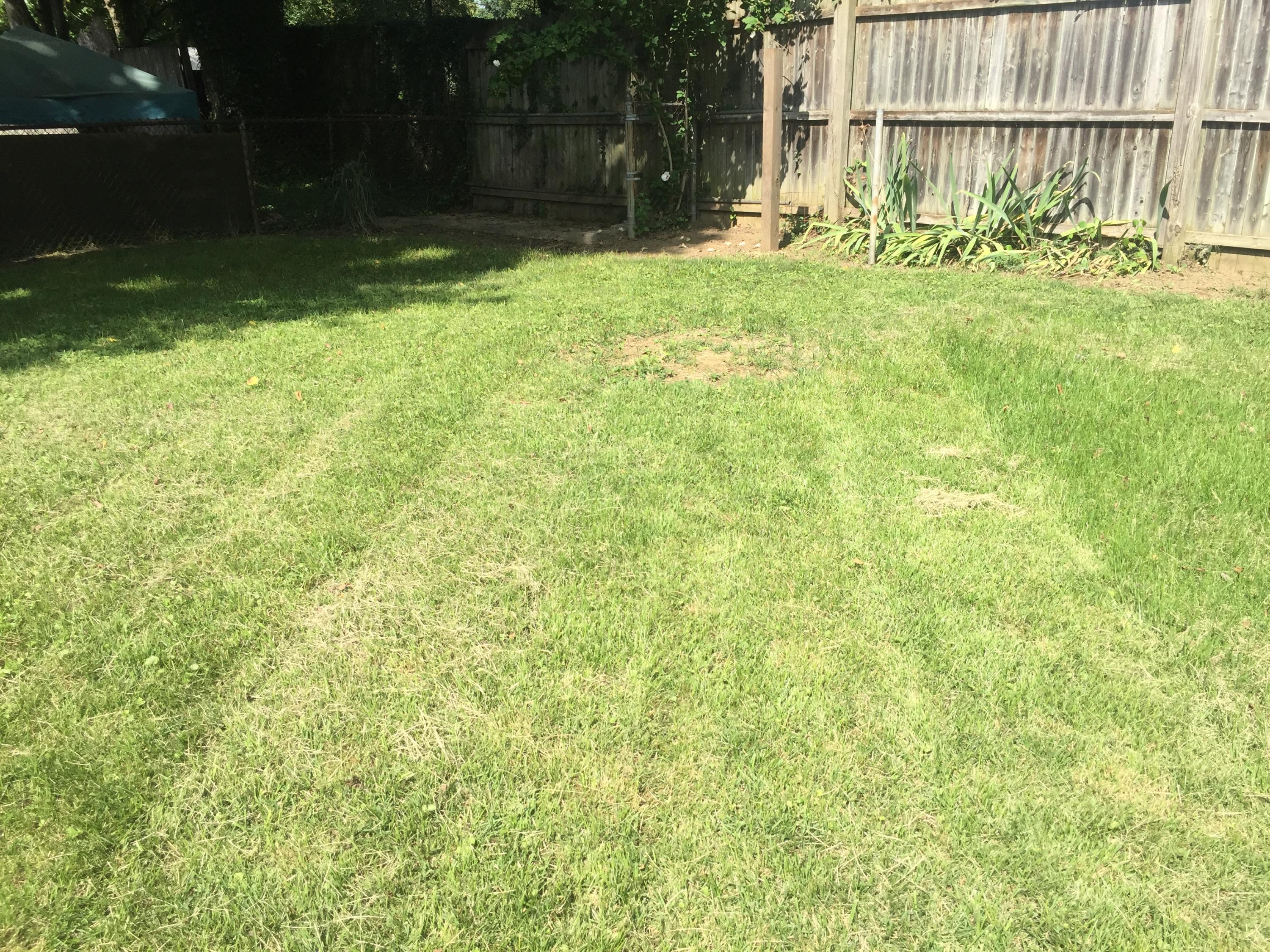 1332 Moler Road Columbus, OH 43207 - Photo 5 of 7