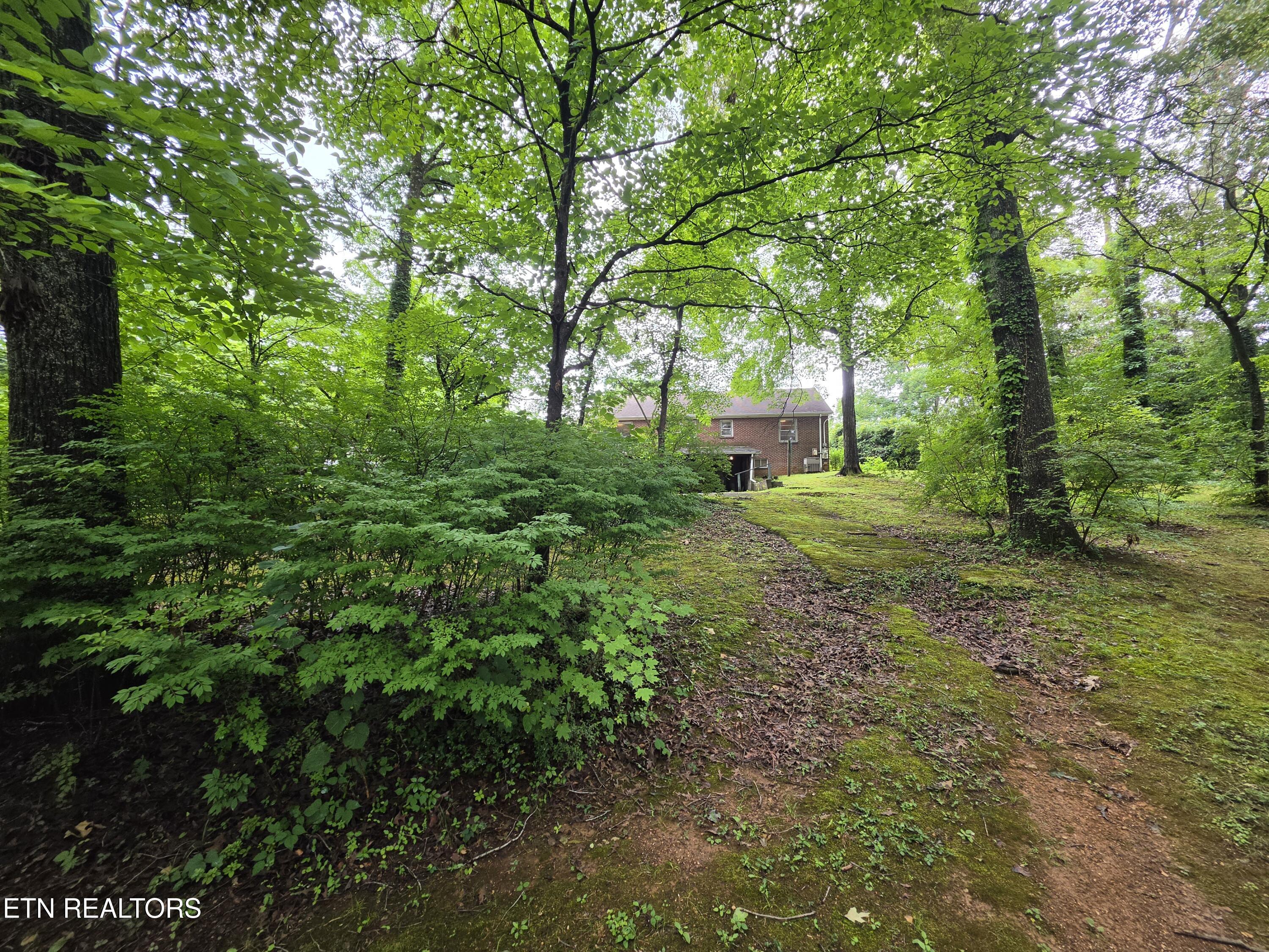 1211 Craig Road Knoxville, TN 37919 - Photo 38 of 42 Backyard