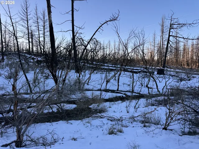 $9,900 | Hummingbird Drive, Unit 1, Bonanza, OR 97623