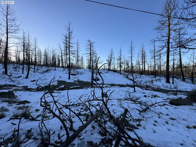 a view of a backyard with sitting area