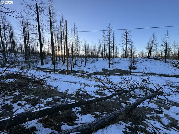 $9,900 | Hummingbird Drive, Unit 1, Bonanza, OR 97623