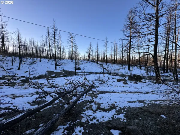 $9,900 | Hummingbird Drive, Unit 1, Bonanza, OR 97623