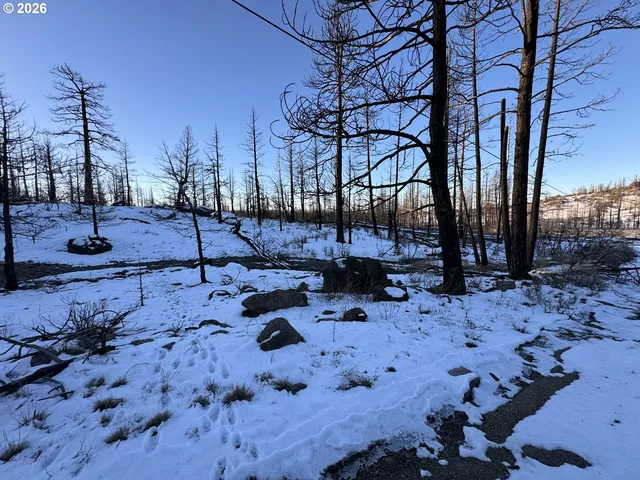 a view of a backyard of the house