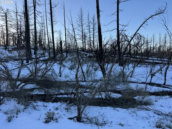 $9,900 | Hummingbird Drive, Unit 1, Bonanza, OR 97623