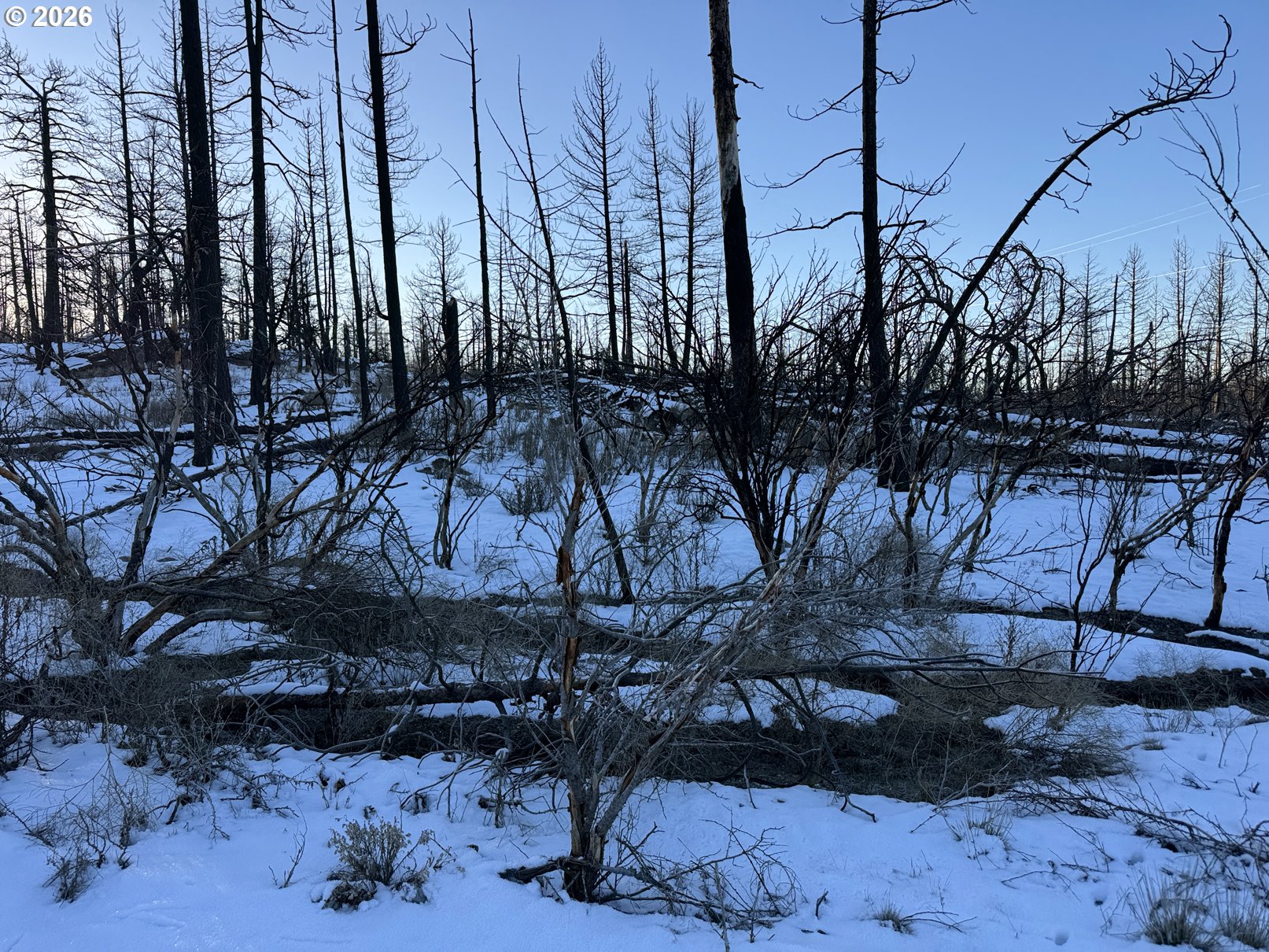 Hummingbird Drive, Unit 1 Bonanza, OR 97623 - Photo 2 of 42