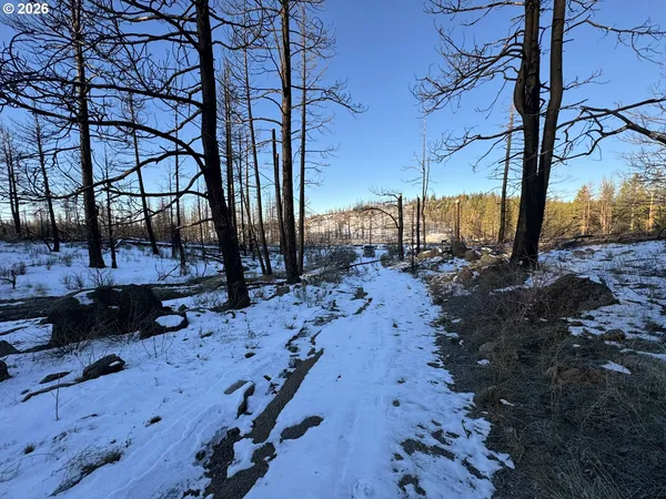 $9,900 | Hummingbird Drive, Unit 1, Bonanza, OR 97623