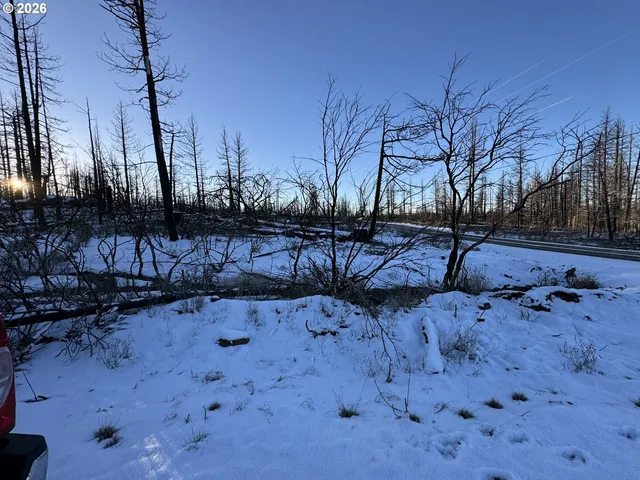a view of a yard with wooden fence