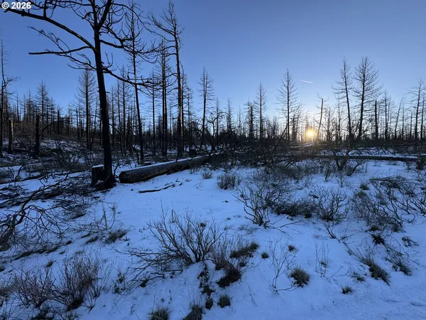 $9,900 | Hummingbird Drive, Unit 1, Bonanza, OR 97623