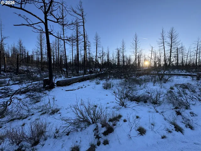 a view of a backyard of the house