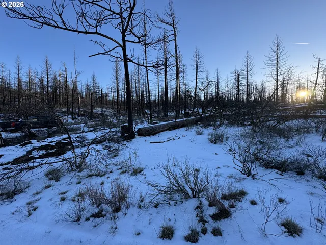 a view of outdoor space with trees