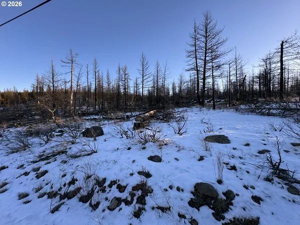 $9,900 | Hummingbird Drive, Unit 1, Bonanza, OR 97623