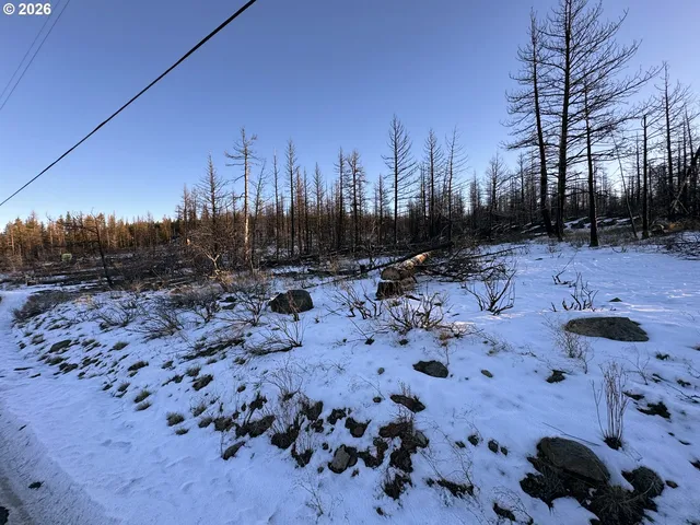 a view of a backyard of the house