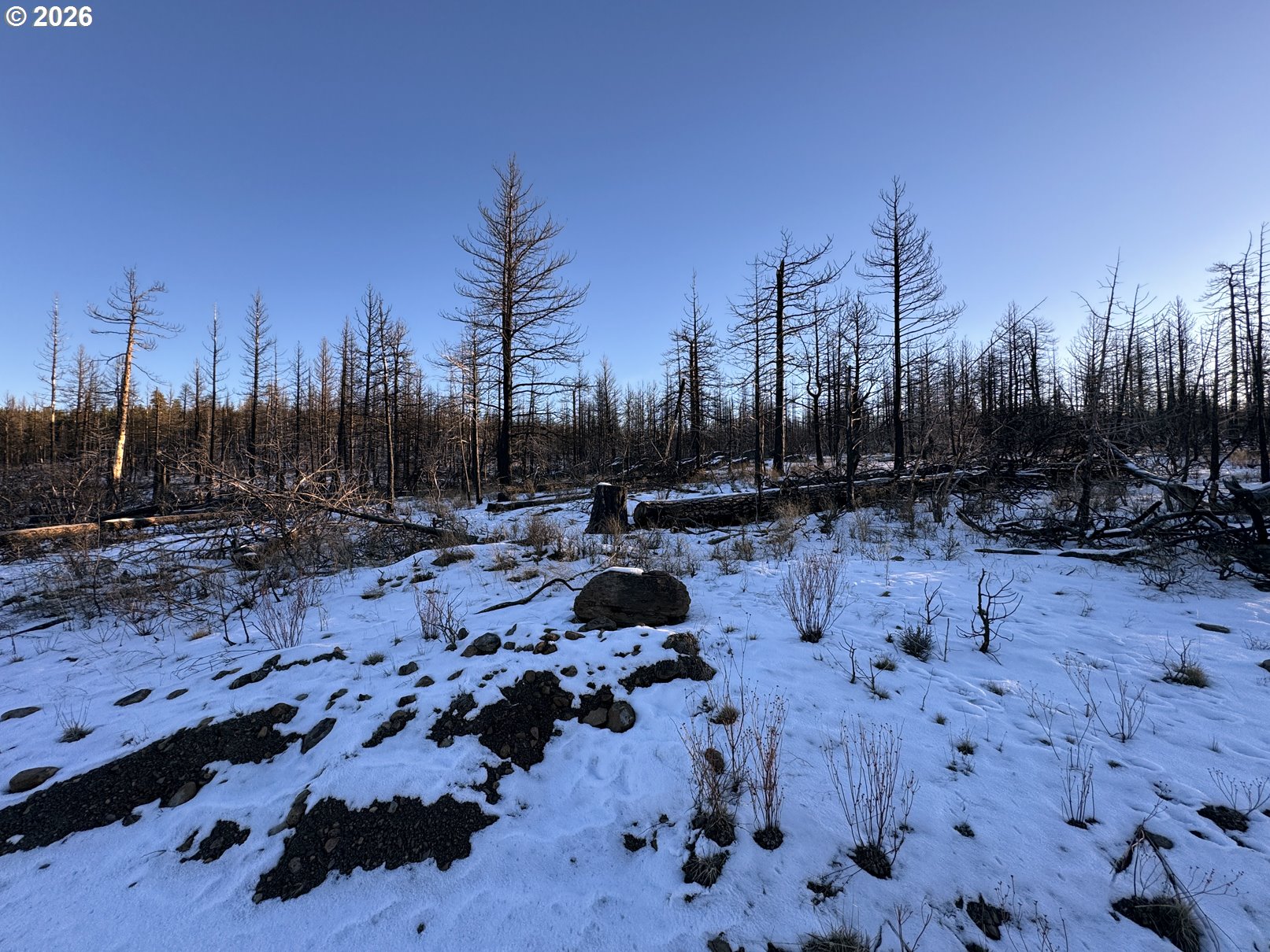 Hummingbird Drive, Unit 1 Bonanza, OR 97623 - Photo 31 of 42