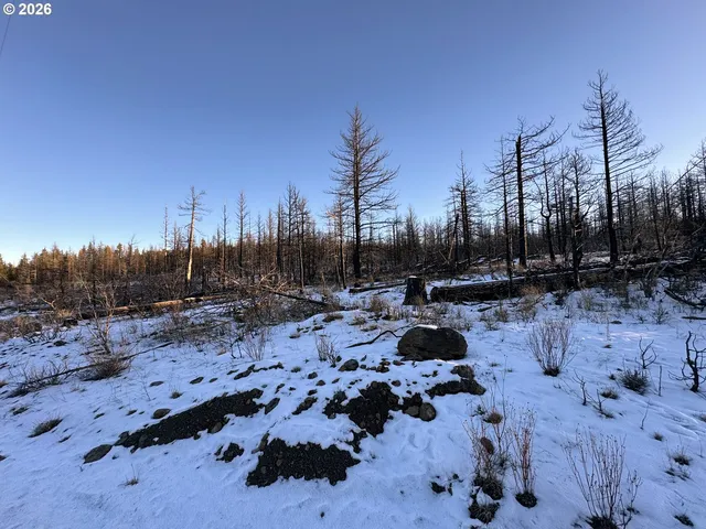 a view of swimming pool with a yard and covered with green space
