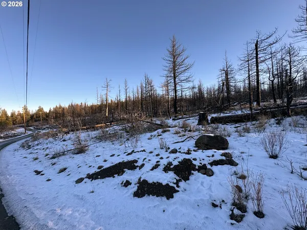 $9,900 | Hummingbird Drive, Unit 1, Bonanza, OR 97623