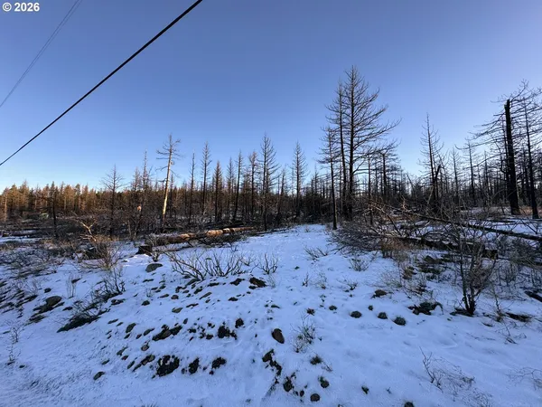 $9,900 | Hummingbird Drive, Unit 1, Bonanza, OR 97623