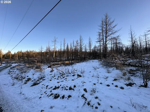 a view of yard with wooden fence