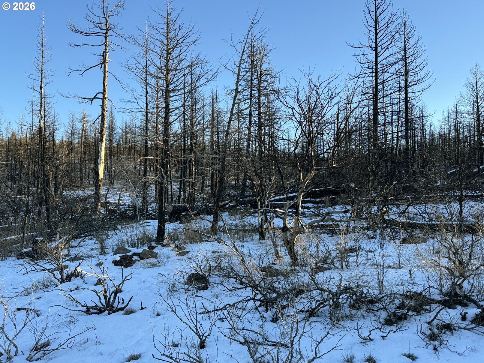 Hummingbird Drive, Unit 1 Bonanza, OR 97623 - Photo 38 of 42