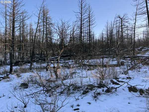 $9,900 | Hummingbird Drive, Unit 1, Bonanza, OR 97623