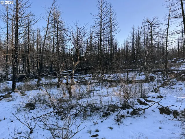 a view of outdoor space with lots of trees