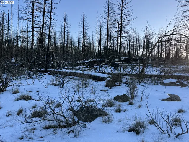 a view of swimming pool with a yard
