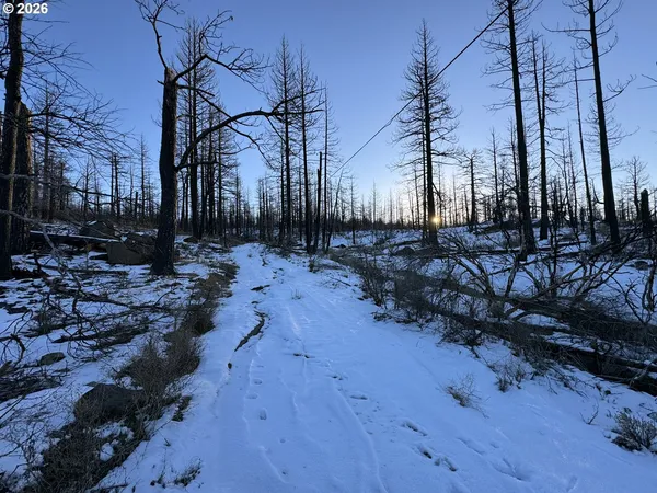 $9,900 | Hummingbird Drive, Unit 1, Bonanza, OR 97623