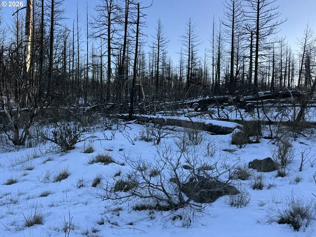 a view of swimming pool with a yard and trees