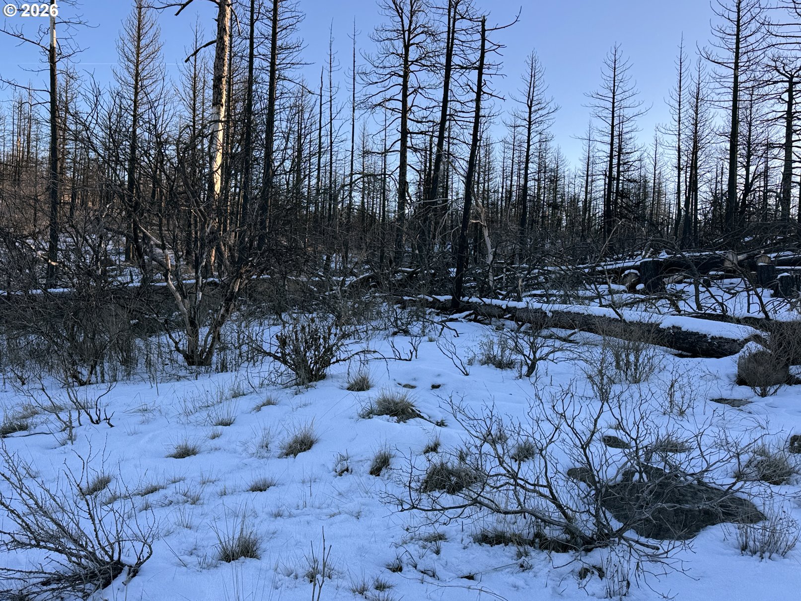 Hummingbird Drive, Unit 1 Bonanza, OR 97623 - Photo 42 of 42