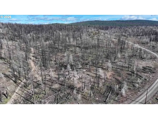 $9,900 | Hummingbird Drive, Unit 1, Bonanza, OR 97623