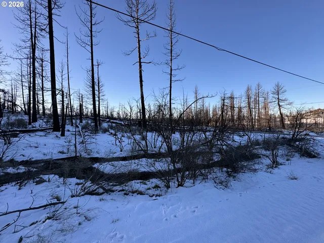 a view of a backyard of the house