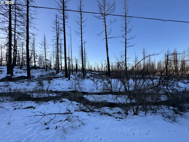 a view of a city with lots of trees