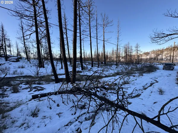 $9,900 | Hummingbird Drive, Unit 1, Bonanza, OR 97623