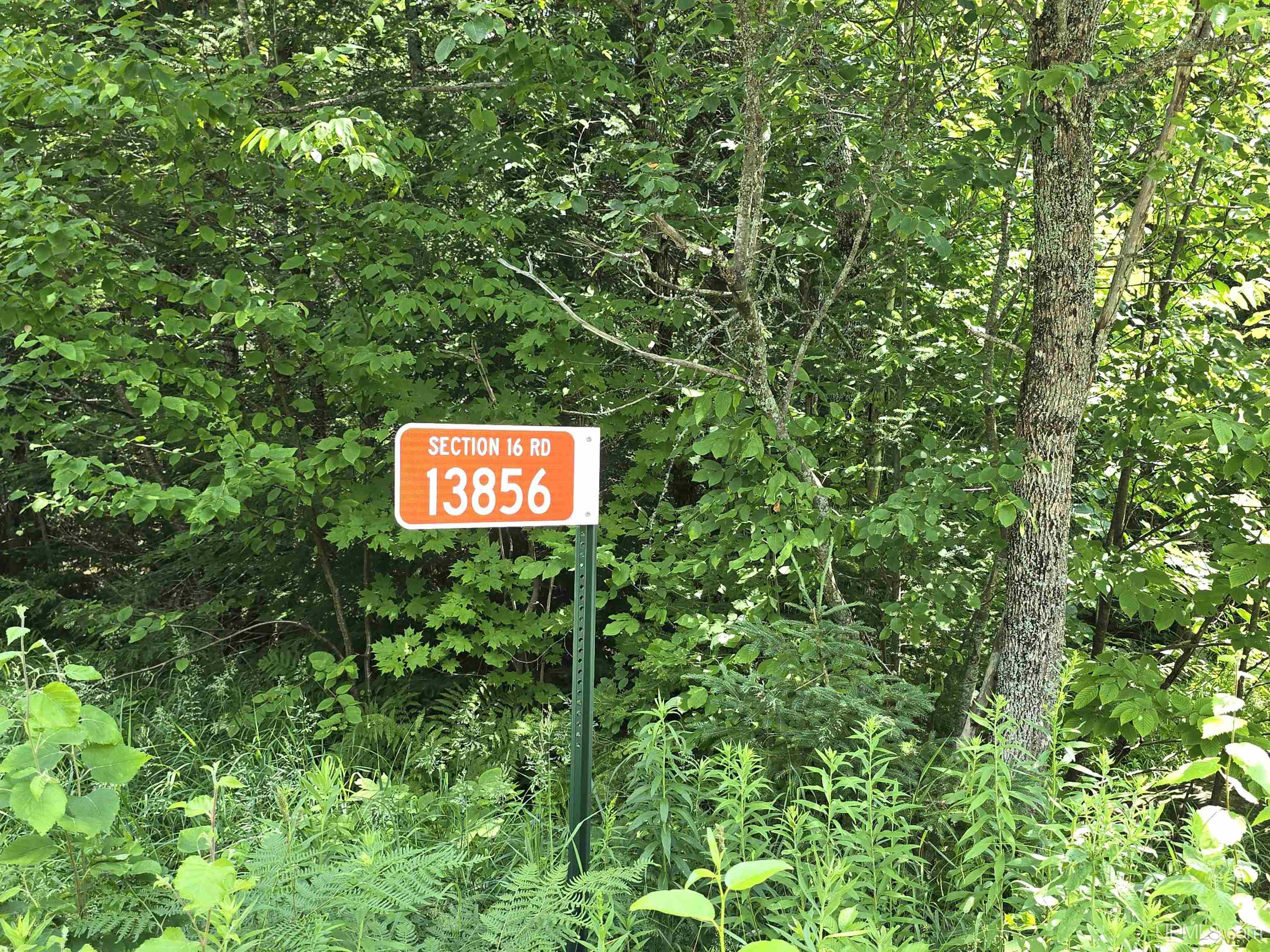 13856 North Section 16 Road Covington, MI 49919 - Photo 46 of 46