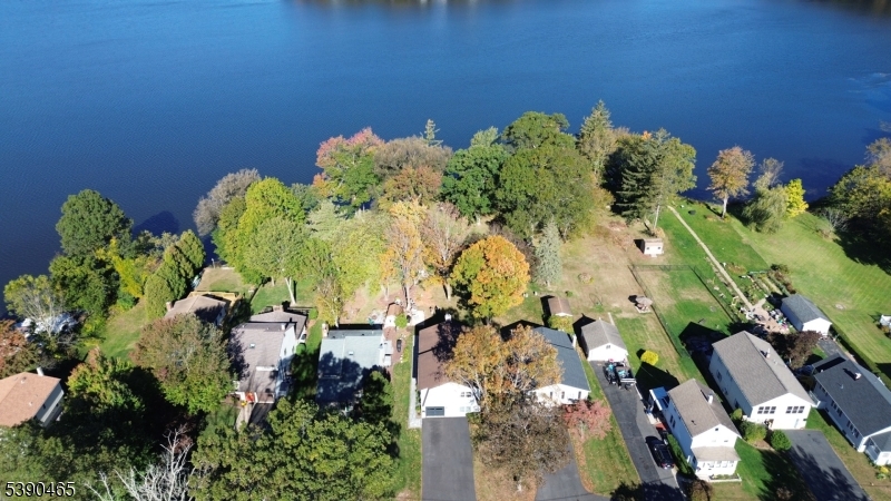 a view of a flower in a garden