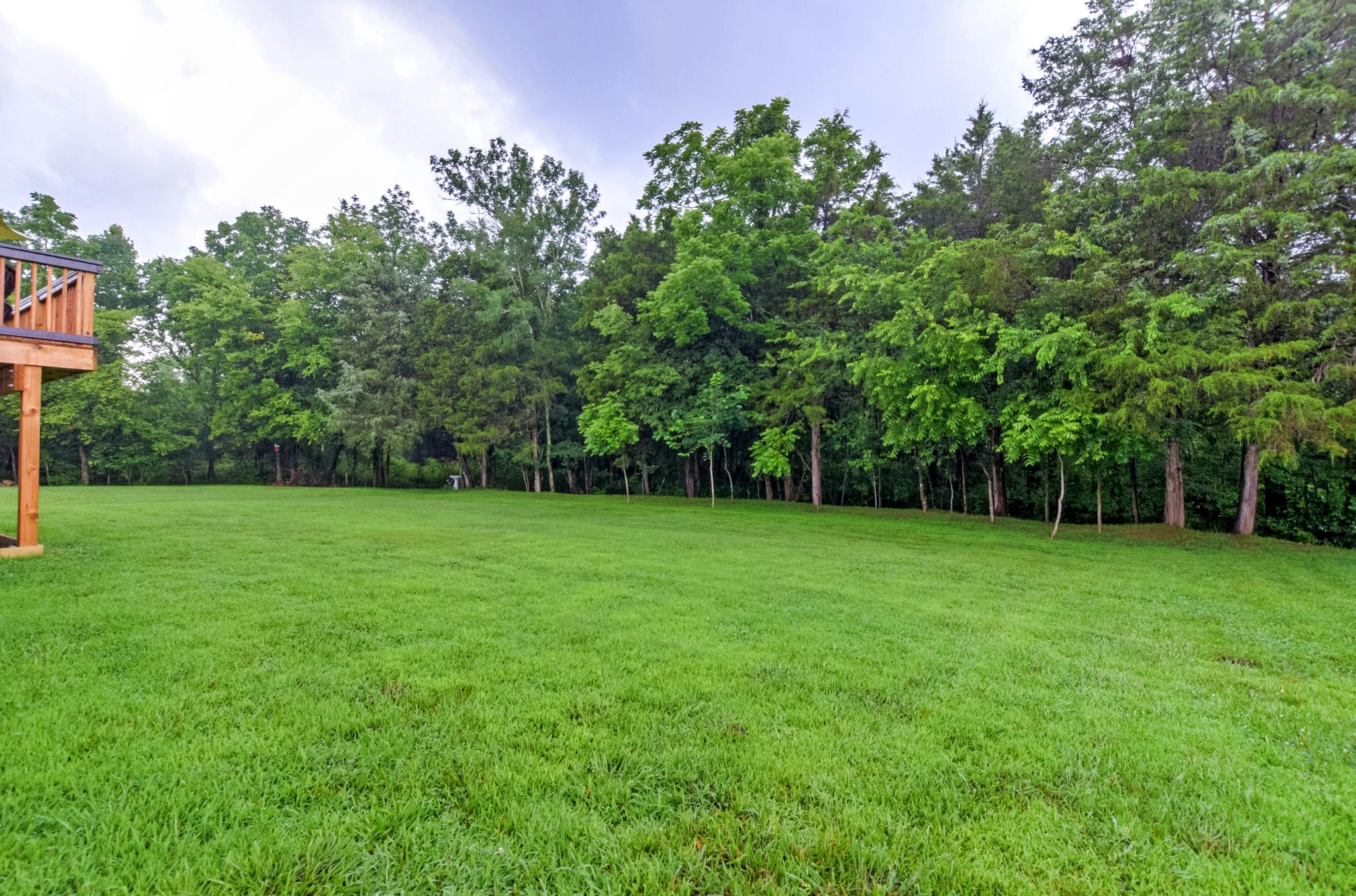 158 Abbey Road Lebanon, TN 37090 - Photo 30 of 30 a view of a grassy field with trees