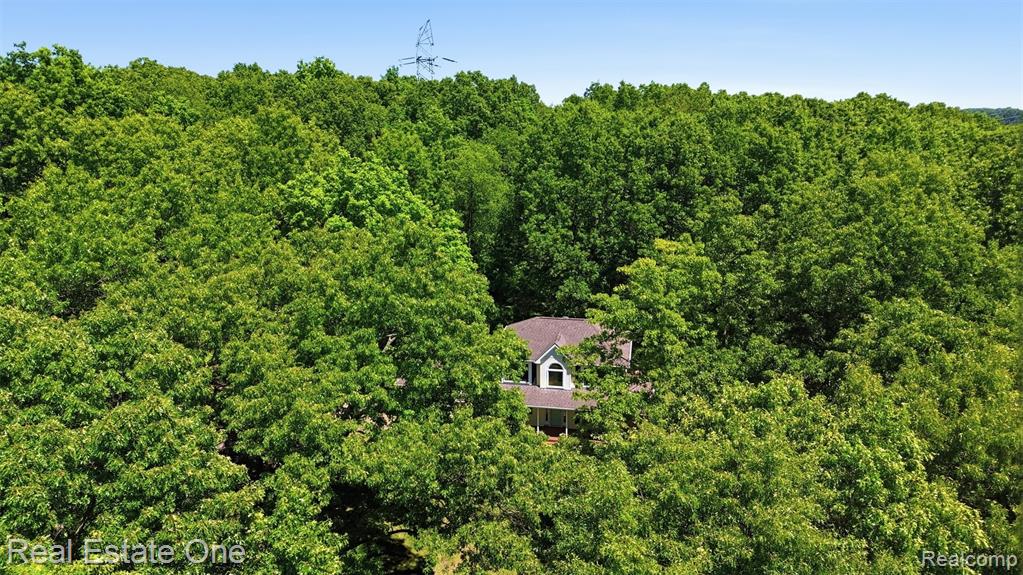 3559 Perry Lake Road Ortonville, MI 48462 - Photo 12 of 41