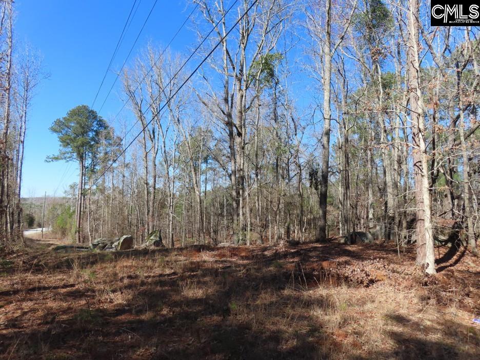 0 Rion Road Winnsboro, SC 29180 - Photo 41 of 42