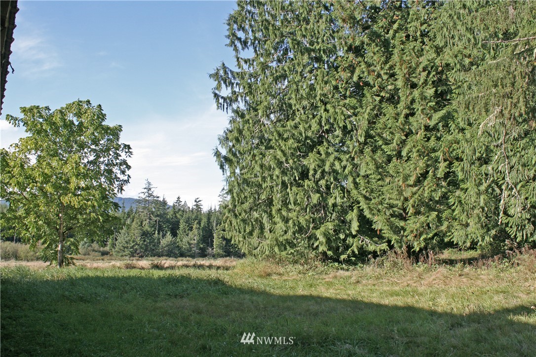 26823 Lake Riley Road Arlington, WA 98223 - Photo 28 of 28 Gallery Image 28