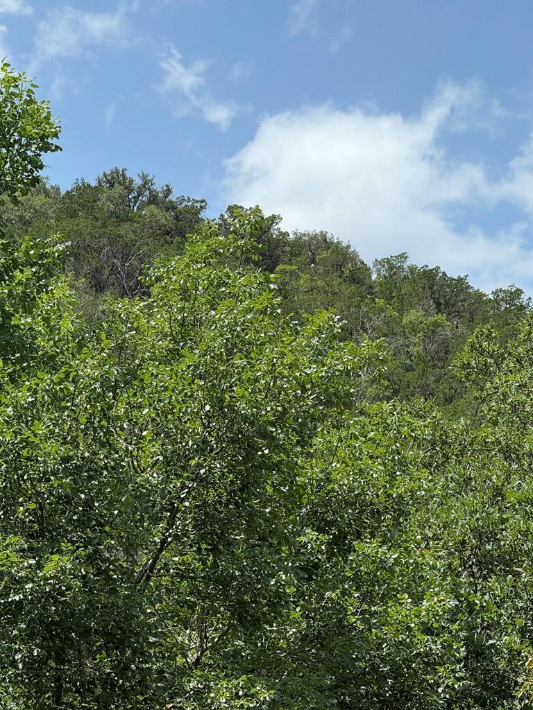 159 Valley Vista Road, Unit 159 Alice, TX 78332 - Photo 4 of 20 Gallery Image 4