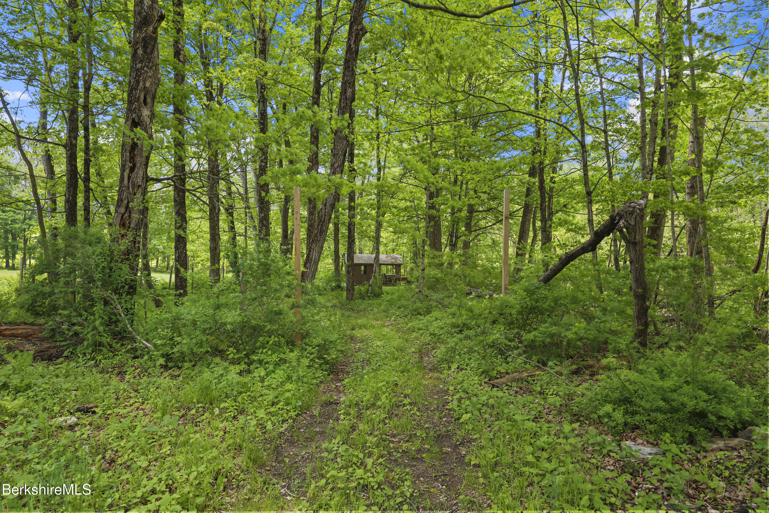295 Blair Road Williamstown, MA 01267 - Photo 91 of 115 170 Back Yard
