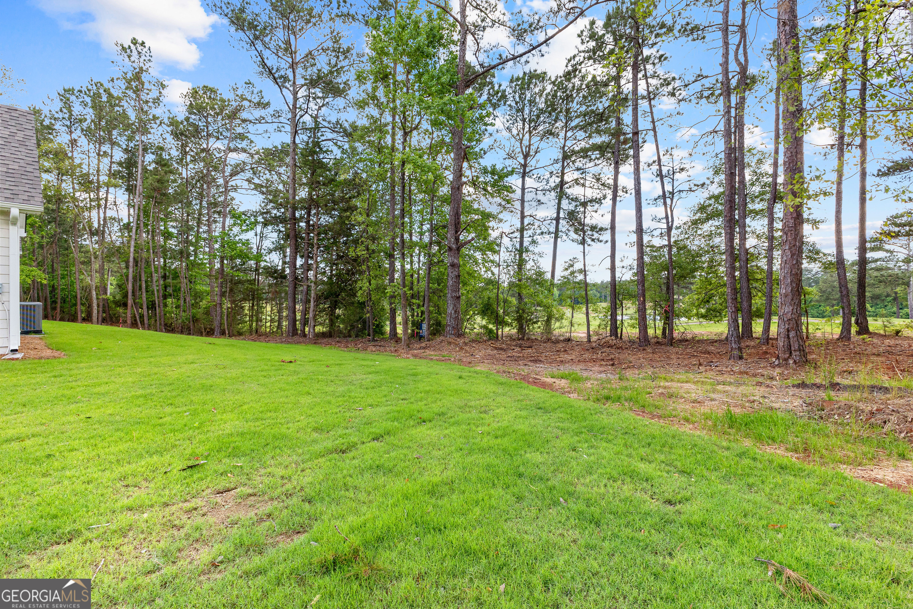 1242 Waymanville Road Thomaston, GA 30286 - Photo 50 of 52 a view of a park with large trees