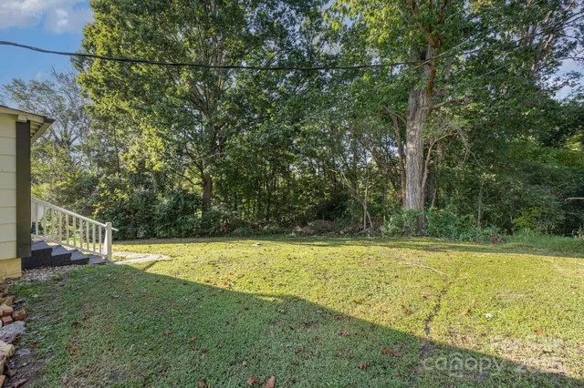 a view of a yard with a small trees