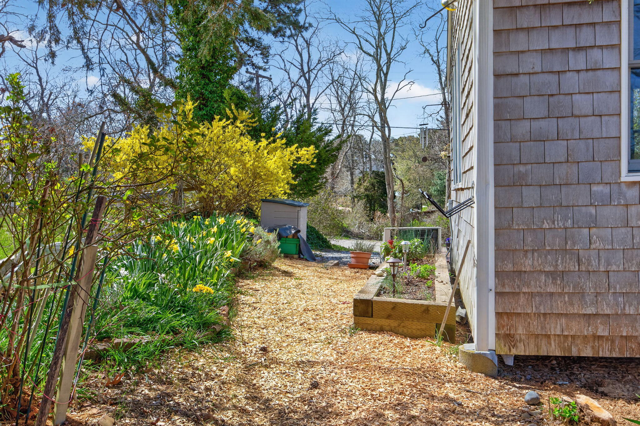 11 Whelpley Road Eastham, MA 02642 - Photo 35 of 43 a backyard of a house with lots of green space