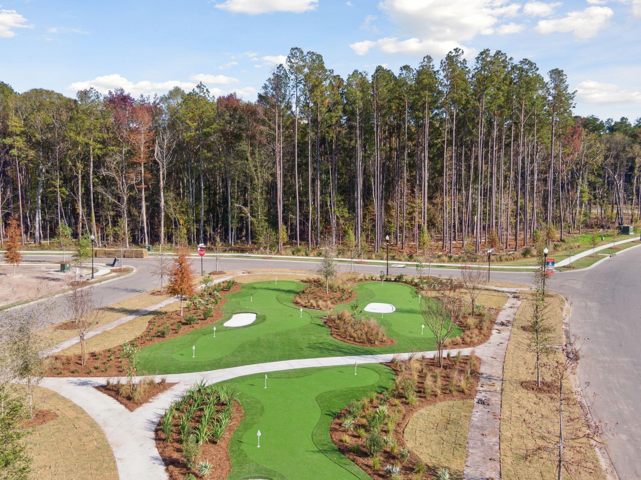 1122 Razor Clam Way Summerville, SC 29485 - Photo 10 of 33 Putting Green 3
