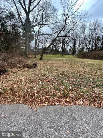 a view of yard with large trees