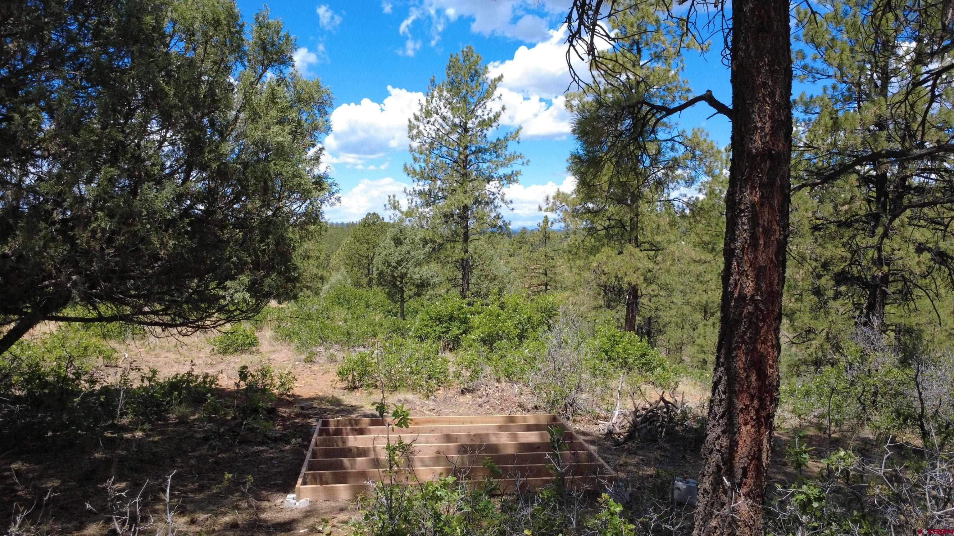 121 Engineer Point Pagosa Springs, CO 81147 - Photo 7 of 43