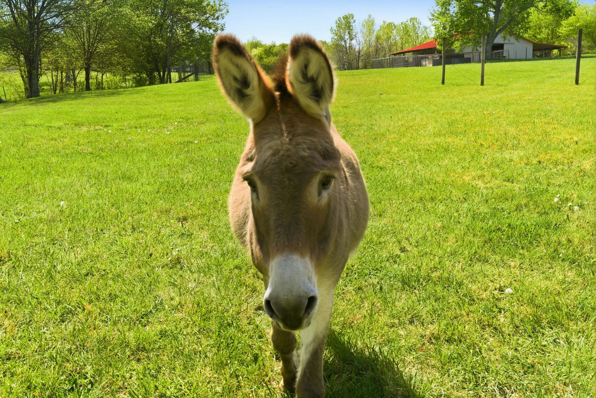 8270 Bethlehem Road Springfield, TN 37172 - Photo 44 of 51