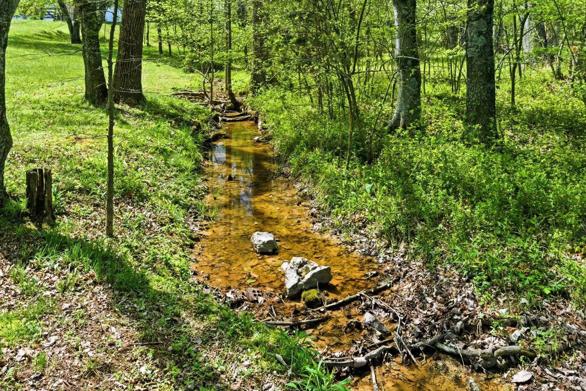 8270 Bethlehem Road Springfield, TN 37172 - Photo 45 of 51