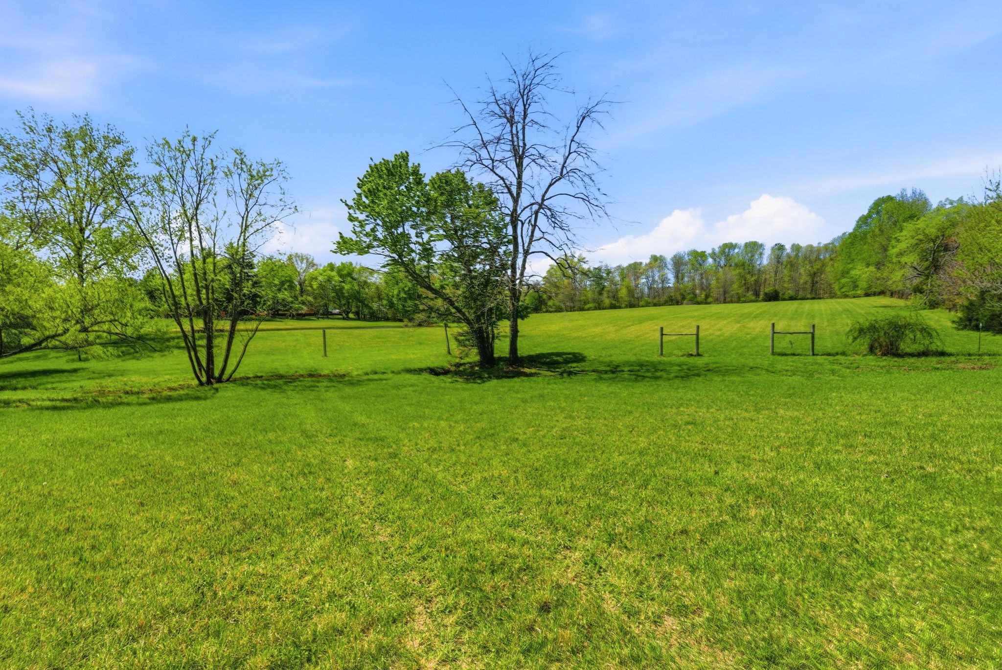 8270 Bethlehem Road Springfield, TN 37172 - Photo 46 of 51